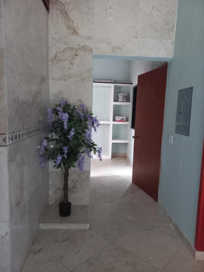 Departamento Tayde Appartamento San José del Cabo Esterno foto